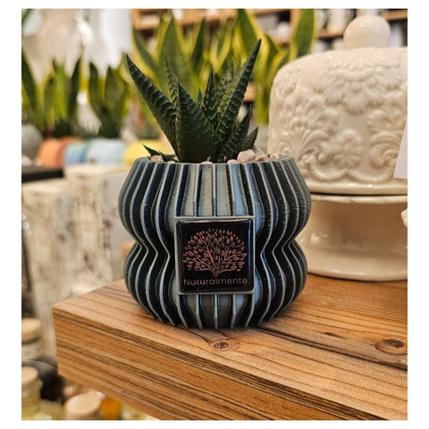 Naturalmente Bomboniere Vaso 3D piccolo con Pianta grassa D9xH12 cm 4 varianti(1 unità)