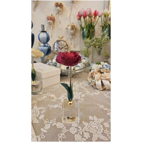 Chiaraela Pianta Peonia su cubo "Giardino" 5x5xH18 cm 5 varianti(1 unità)
