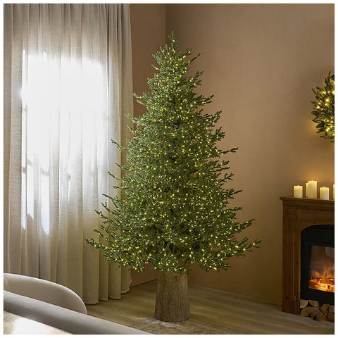 EDG Albero di natale pino Lucciole con 3100 luci led D145 - H210 cm