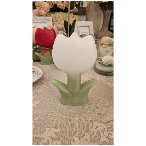 Cereria Parma Candela Tulipano profumata artigianale 13x4.5xH18.5 cm 6 varianti(1 unità)