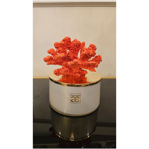 Chiaraela Candela sfera gigante Corallo arancione D12.5xH15 cm