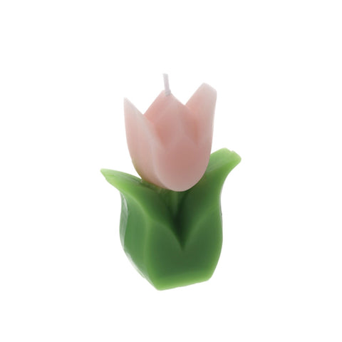 Hervit Candela Tulipano in cera 6x3x8.5 cm 4 varianti(1pz)