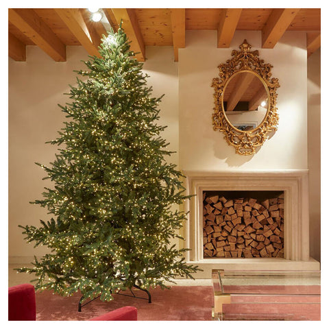 EDG Albero di natale pino luxury abete sintetico 6000 mini led Ø163 H270 cm