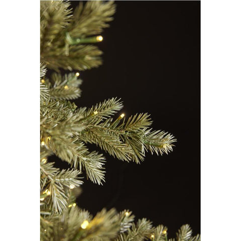 EDG Enzo De Gasperi Pin argenté 3000 miniled H180xP135 cm