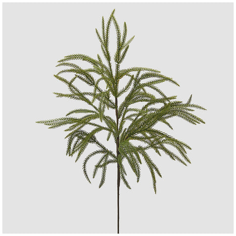 EDG Enzo De Gasperi Branche décorative de Cryptomeria H85 cm
