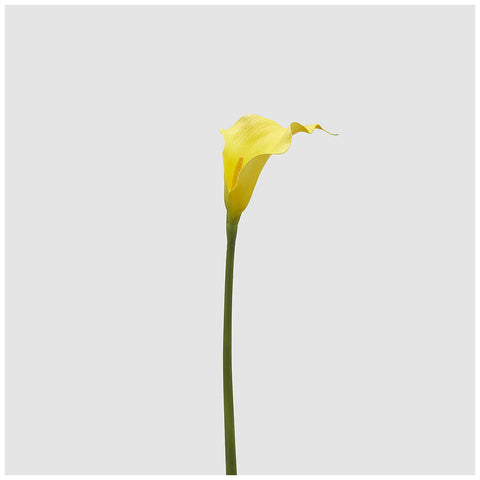 EDG Enzo De Gasperi Ramo Fiore Calla giallo artificiale H65 cm - Angelica Home Stabia