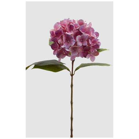 Branche d'hortensia noble EDG Enzo De Gasperi H60 cm 2 variantes (1 pièce)