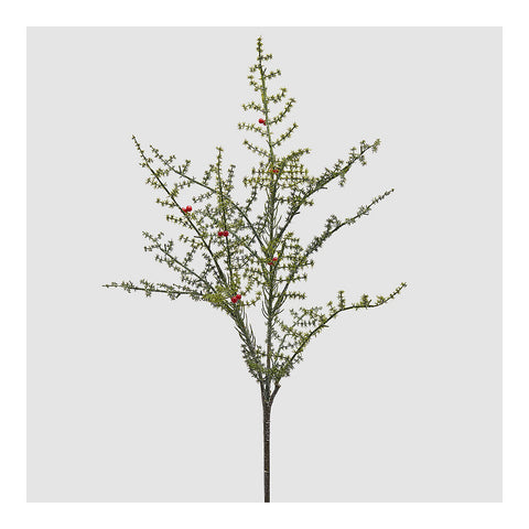 Edg - Enzo De Gasperi Decoro natalizio ramo asparago selvatico con bacche H80 cm