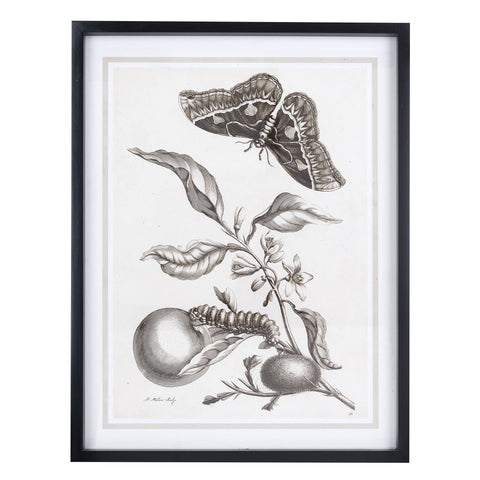 Blanc Mariclò Quadro in tela "Villa Ada" 50x2x65 cm 2 varianti(1 unità)