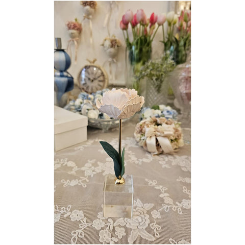 Chiaraela Pianta Peonia su cubo "Giardino" 5x5xH18 cm 5 varianti(1 unità)