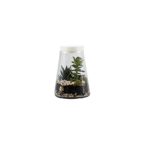 Naturalmente Bomboniere Terrarium con Pianta grassa D14xH21 cm 4 varianti(1 unità)
