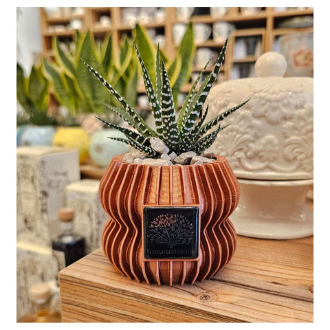 Naturalmente Bomboniere Vaso 3D piccolo con Pianta grassa D9xH12 cm 4 varianti(1 unità)