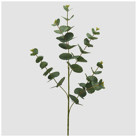 Edg Enzo De Gasperi Ramo Eucalipto verde scuro artificiale H88 cm