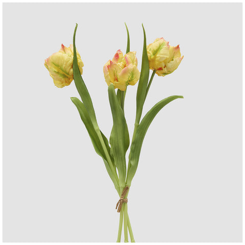 EDG Enzo de Gasperi Mazzo Tulipano(3) Parrot con foglie artificiale H40 cm 5 varianti(1 unità)