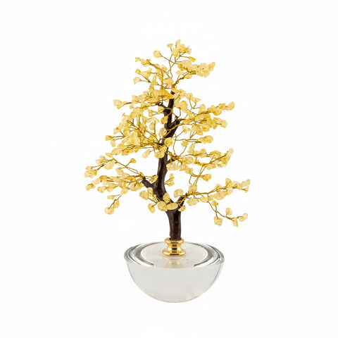 Chiaraela Pianta Bonsai decorativa con coralli "Fancy" H25 cm 4 varianti(1 unità)