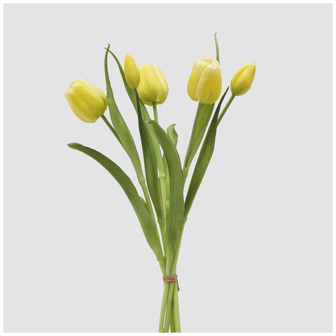 EDG Enzo de Gasperi Mazzo Tulipano(4) chiuso con foglie H40 cm 5 varianti(1 unità)