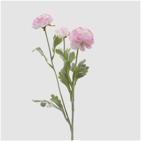 EDG - Enzo de Gasperi Branche de renoncule rose artificielle avec feuilles H50 cm
