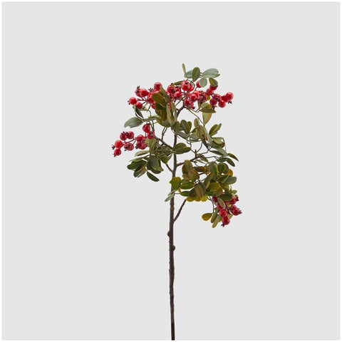 EDG Branche de Noël Cloche de Lentisque aux fruits rouges H75 cm