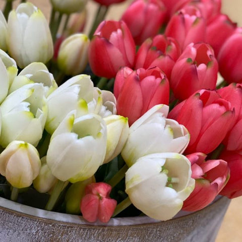EDG Enzo de Gasperi Tulipano gommoso fiore artificiale, Bouquet 5 tulipani bianchi