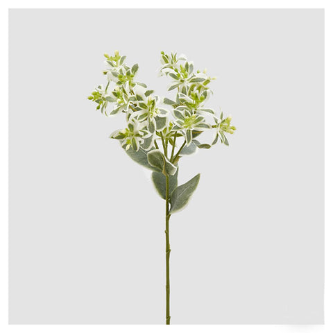 EDG Enzo de Gasperi Ramo Euphorbia verde artificiale, pianta / fiori finta da decorazione h50 cm