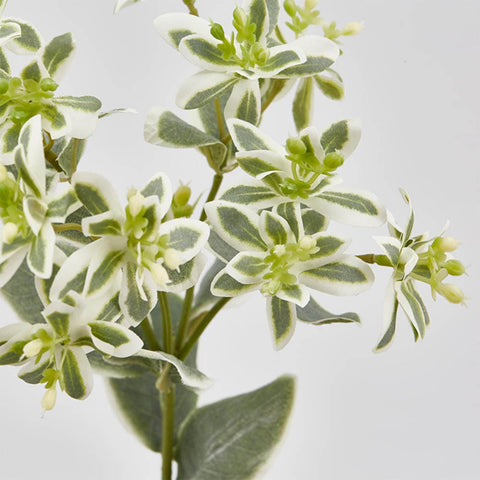 EDG Enzo de Gasperi Branche d'Euphorbe verte artificielle, fausse décoration plante/fleurs h50 cm