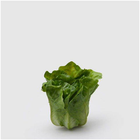 EDG Enzo de Gasperi Realistic artificial romaine lettuce D12xH14 cm