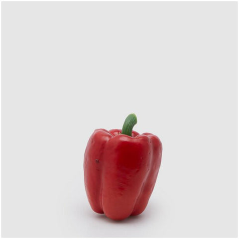 EDG Enzo de Gasperi Realistic artificial red pepper D8xH7 cm
