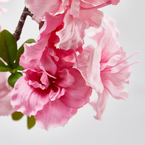 EDG Enzo de Gasperi Branche de pêche japonaise artificielle Sakura, fausse fleur réaliste pour décorations 2 variantes