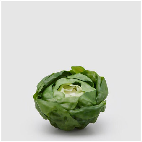 EDG Enzo de Gasperi realistic artificial lettuce D19xH11 cm