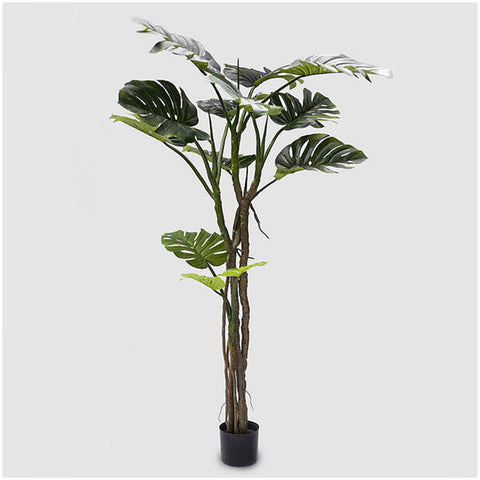 EDG - Enzo De Gasperi Monstera pianta artificiale con vaso H180 cm