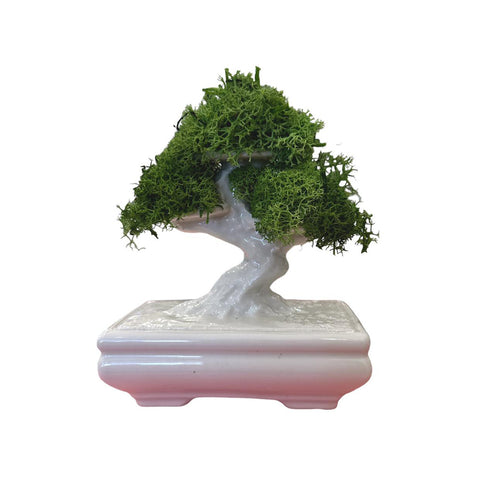 SHARON Glazed ivory porcelain bonsai hand painted made in Italy H 12x13 cm