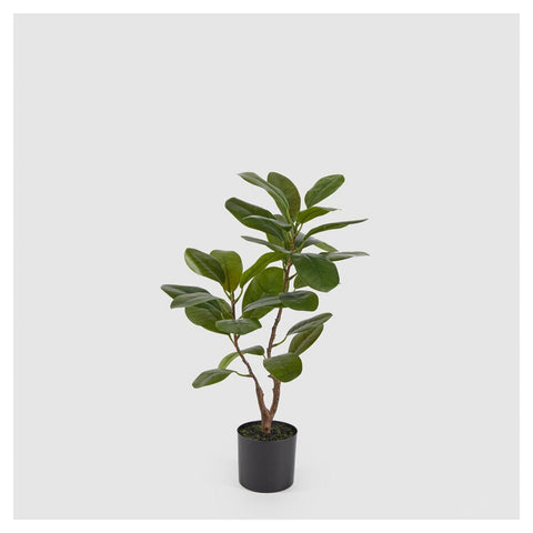 EDG Enzo de Gasperi Ficus Chic avec pot plante artificielle pour déco