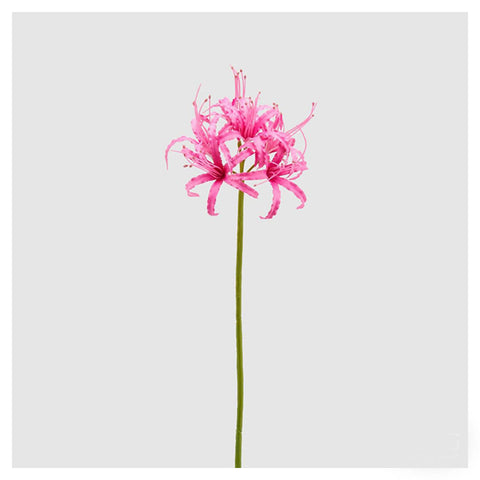 EDG Enzo de Gasperi Ramo Nerina Rex artificial fuchsia, fake plant / flower for decoration H90 cm
