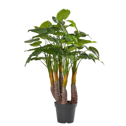 EDG Enzo De Gasperi Philodendron plante artificielle avec pot pour décoration intérieure ou extérieure h120 cm
