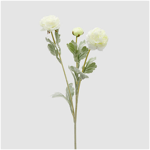EDG - Enzo de Gasperi Artificial ivory buttercup branch with leaves H50 cm