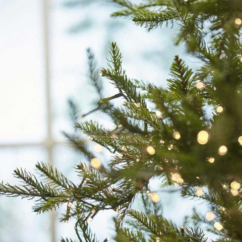EDG Luxury pine Christmas tree with 5000 mini LEDs D152xH240 cm