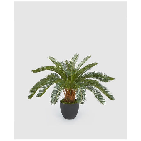 EDG Enzo de Gasperi Palma Cycas 24 foglie con vaso da interno o esterno, pianta artificiale / finta verde da arredamento