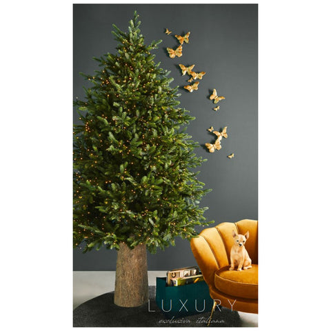 EDG Luxury pine Christmas tree with 4000 LED lights D142 - H210 cm