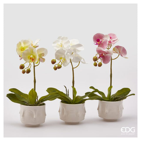 EDG Enzo de Gasperi Orchidée avec pot d'intérieur blanc, fleurs artificielles pour décorations H40 cm 3 variantes
