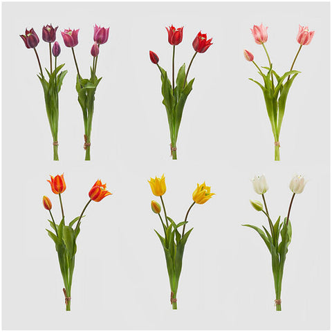 EDG - Enzo de Gasperi Tulip Olis in rubber H48 cm 7 variations (1pc)