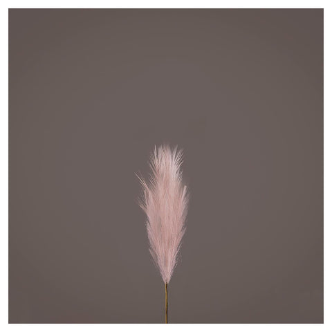 EDG Pampas branch artificial decorative synthetic feather 7 pink tufts H70 cm