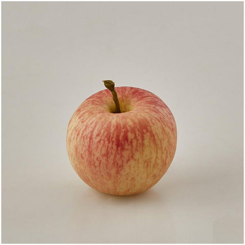 EDG Enzo de Gasperi Realistic artificial apple D8 cm