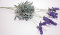 EDG Enzo De Gasperi Lavanda artificiale con foglie h52 cm - Angelica Home Stabia