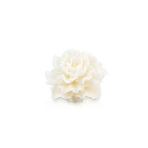 CERERIA PARMA Candle Scented decorative wax camellia ivory Ø12xH8 cm